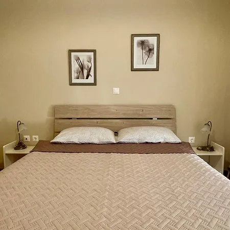 Camelia Apartment